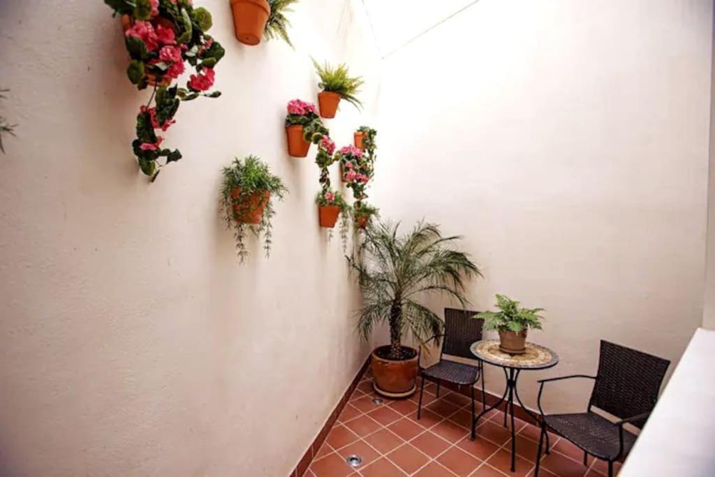 Mini Hotel In The Heart Of Sevilla For Exclusive Usage Exteriör bild